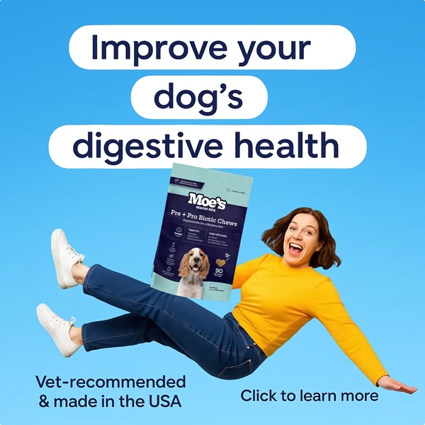 A high-conversion ad creative for dog probiotic chews that features a person floating mid-air, emphasizing product benefits with bold text overlays.